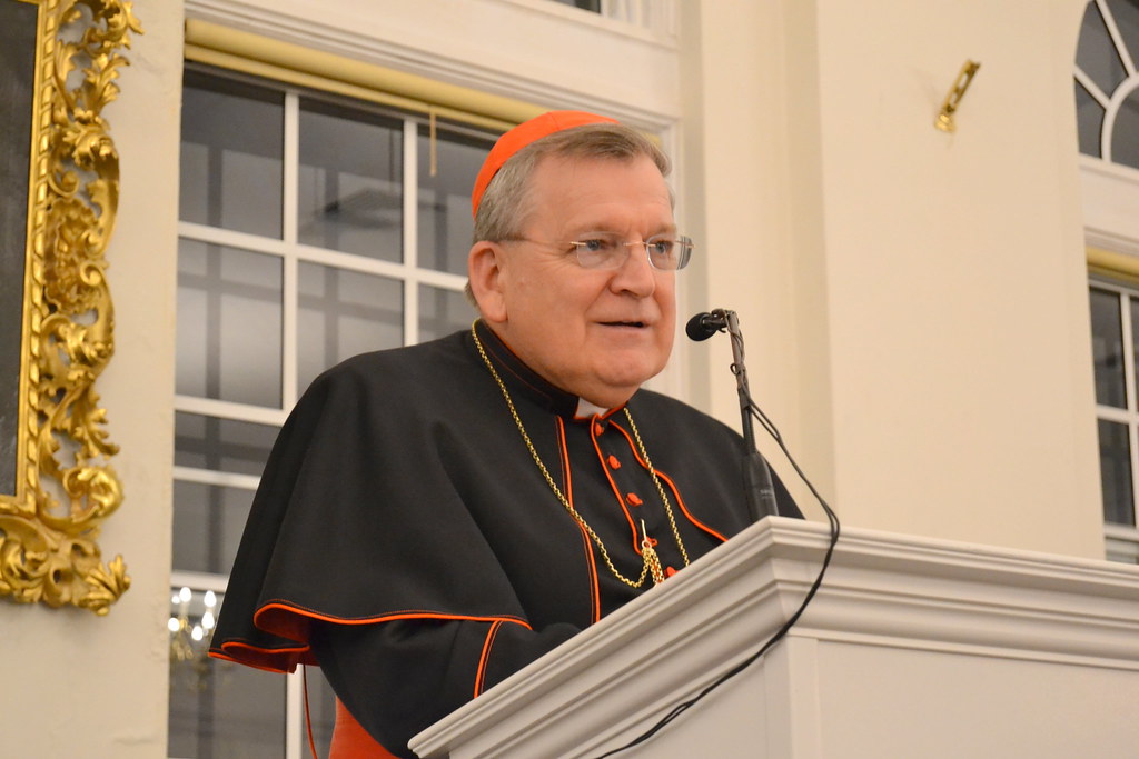 Intervista al cardinale Burke: “La vita è sotto attacco, la politica prenda posizione”